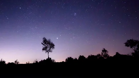 Alamy Watching the sky shift from day to night is at the heart of "dusking", an old Dutch tradition of quietly observing twilight (Credit: Alamy)