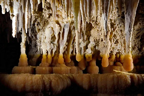 Alamy Rare rock-eating bacteria help shape the speleothems of Lechuguilla Cave (Credit: Alamy)