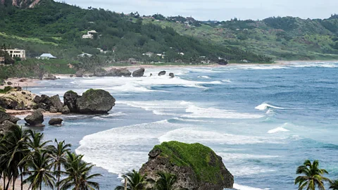 Alamy The rugged coastline of Barbados left its mark on Agatha Christie's imagination (Credit: Alamy)