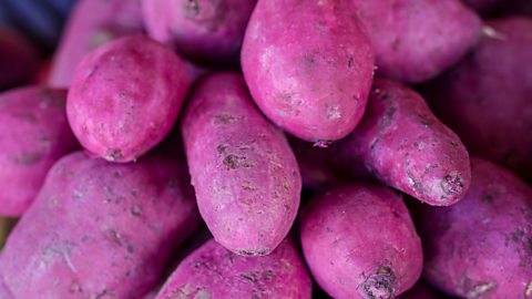 Ube, the purple yam, is known for its distinctive purple colour