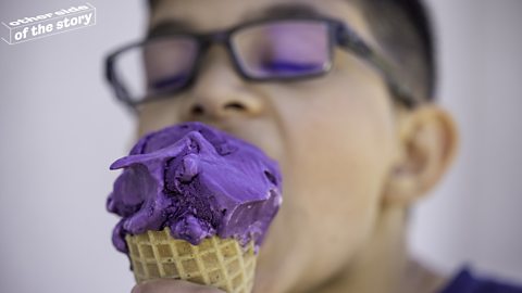 What is ube and is it the new matcha?