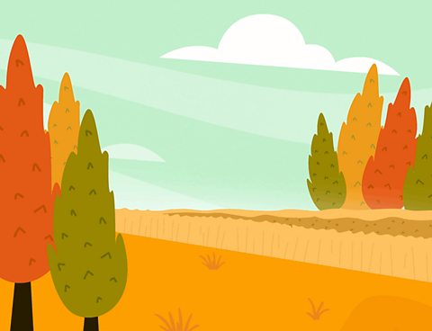 Colourful autumn trees in a field.