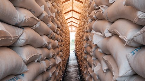 A food assistance warehouse stocked with bags of grain from the WFP, ready for distribution to four refugee camps in South Sudan. 