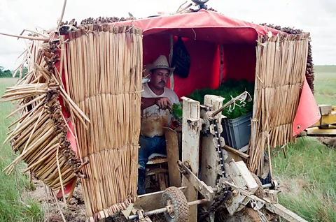 Gaviotas A Gaviotas villager plants pine tree saplings with a machine designed to minimise soil impact (Credit: Gaviotas)