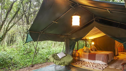 Getty Images Even in high-end safari camps, some travellers find close contact with nature more unsettling than expected (Credit: Getty Images)