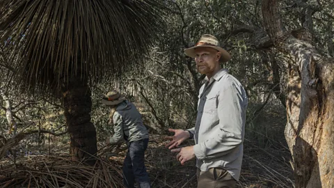 Ana Norman Bermudez A burnt Xanthorrhoea grass tree inside The Koala Sanctuary is examined by Karen Burke Da Silva and Julian Beaman (Credit: Ana Norman Bermudez)
