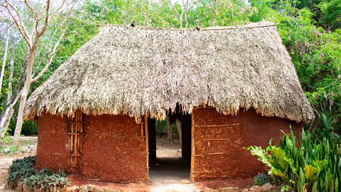 A Maya house made with wood and and thatched roof. There is a doorway in the middle. 