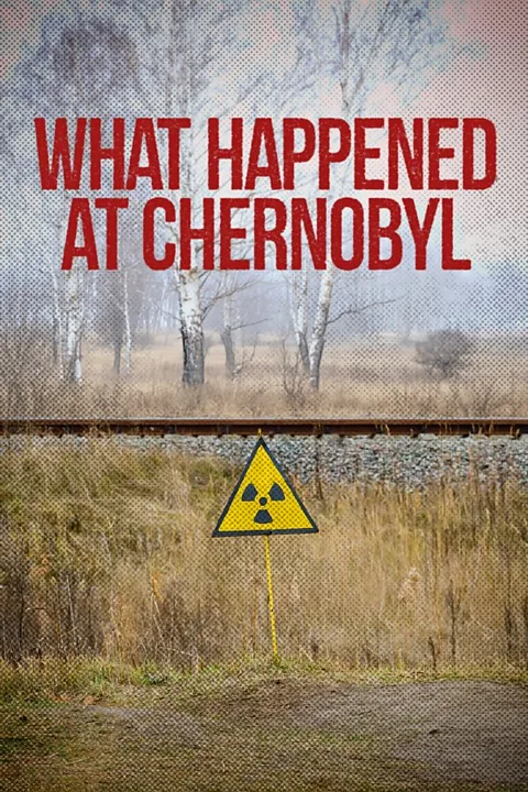What Happened at Chernobyl