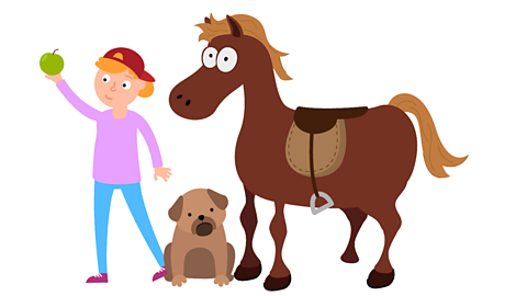 A horse, a dog, a girl and an apple.