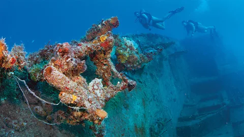 Monroe County Tourist Development Council Florida's reefs and wrecks offer a mix of marine life, history and easy-access underwater exploration (Credit: Monroe County Tourist Development Council)