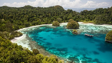 Getty Images Raja Ampat's maze of islands, reefs and remote anchorages has made it one of the world's premier liveaboard diving destinations (Credit: Getty Images)