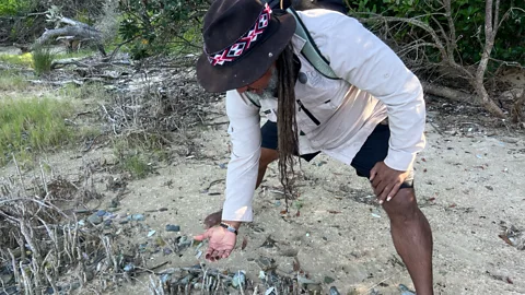Ren O'Flaherty Moonee Creek takes its name from the Gumbaynggirr term Munim Munim, meaning "lots of rocks" (Credit: Ren O'Flaherty)