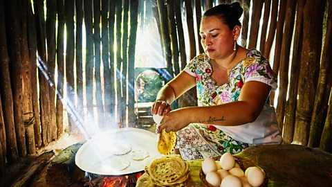 A Maya woman is cooking flat bread on a hot pan over a fire inside a wooden hut. A stack of traditional breads and some eggs sit nearby.