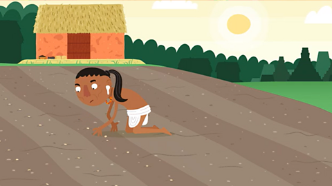 An illustration of a Maya person on their hands and knees sowing seeds in a field.