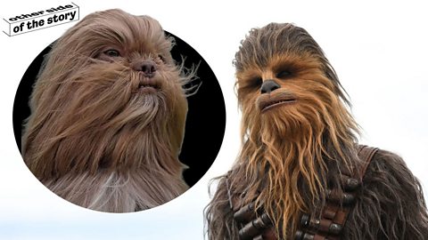 Why pet lookalikes go viral