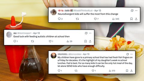 Comments about the impact of the changes on neurodiverse and SEND children.