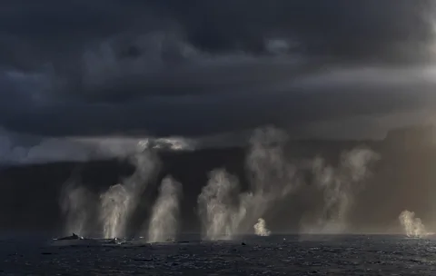 ChrisFallows.com "It's like a Manhattan skyscraper skyline of all the blows," says photographer Monique Fallows (Credit: ChrisFallows.com)