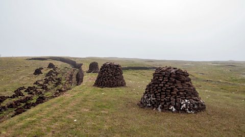 Stacks of peat cuttings in Shetland