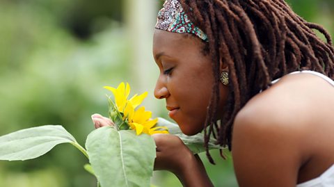An image of a teenager smelling a sunflower