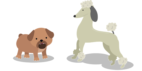 A pug and a poodle.