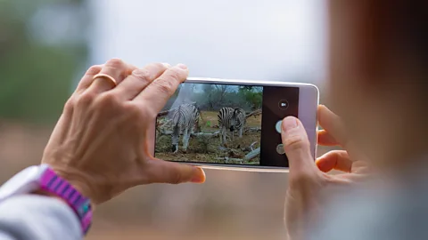 Alamy Around the world, wildlife tourists have become reckless with their mobiles (Credit: Alamy)