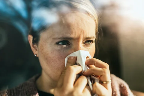 Getty Images By combining the right hay fever medication in the right way, we may be able to enjoy the spring and summer sneeze free (Credit: Getty Images)