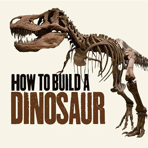 How to Build A Dinosaur Season 1