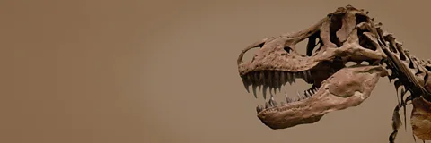 How to Build A Dinosaur Season 1