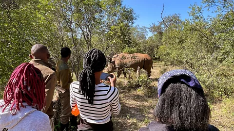Barbara Noe Kennedy Walking safari guests follow the guides at all times, to observe wildlife respectfully and safely (Credit: Barbara Noe Kennedy)