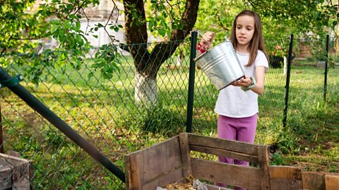 little girl with stainless steel bucket and compost bin