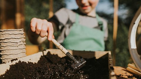 10 year old boy plants seeds in garden