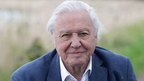 David Attenborough wearing a suit and standing in a field.