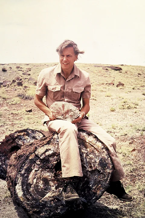 Sir David has sustained an interest in fossils throughout his career (Credit: BBC)