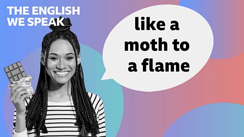 Like a moth to a flame
