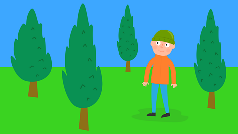 A boy wearing a green hat.