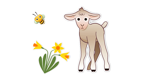 A bee flying over the top of three yellow and orange daffodils with green leaves and stems. A lamb is stood next to the daffodil.