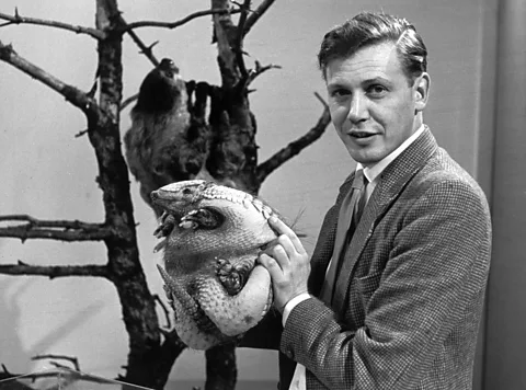 Sir David has credited his long career documenting the natural world to the partly to the influence of a Cherry Kearton film he saw as a boy (Credit: BBC)