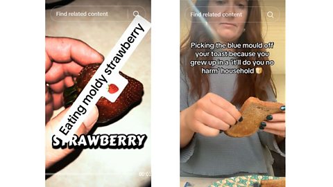 Two images from TikTok showing people attempting to eat mouldy food