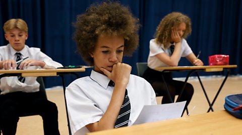 Pensive boy reads paper at start of exam in school hall