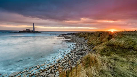 Getty Images Rocky coastline and grassy dunes at sunset in Northumberland (Credit: Getty Images)