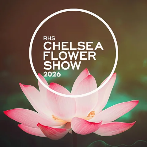 RHS Chelsea Flower Show