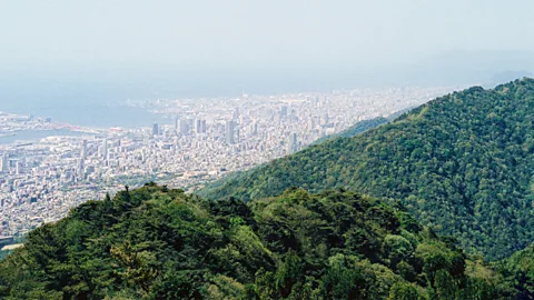 City of Kobe Kobe's dense urban core is surrounded by vast forests, including both mixed woodlands and sugi plantations – a significant cause of hay fever (Credit: City of Kobe)