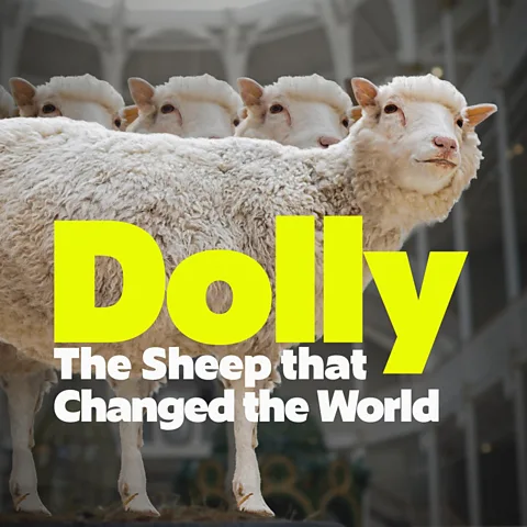 Dolly: The Sheep that Changed the World Season 1