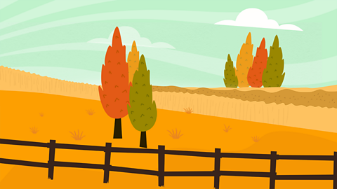 An autumnal scene