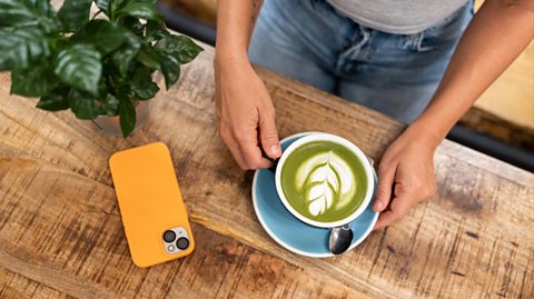 A person wearing jeans places a cup of matcha - a green coloured hot drink in a blue cup and saucer - onto a wooden table. Also on the table is a mobile phone with a yellow cover case and a house plant