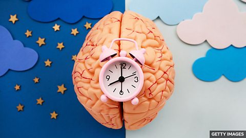 Can language influence how we see time? 语言会影响我们对时间的理解吗?