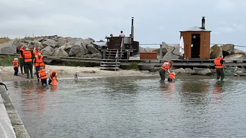 Ivandet Danish environmental groups are trying to get visitors interested in the waters around the island – and why they are under such pressure (Credit: Ivandet)