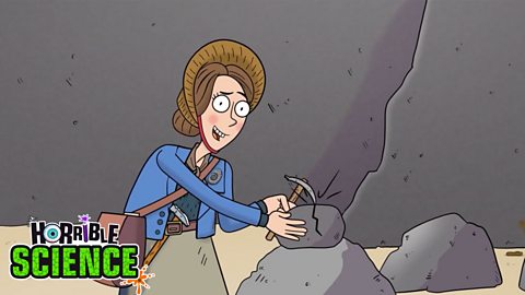 Cartoon image of Mary Anning hammering some rocks. 