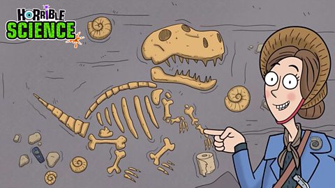 Cartoon image of Mary Anning pointing at a dinosaur fossil. 
