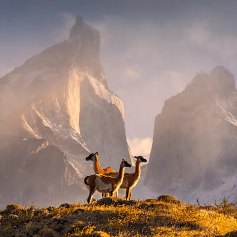 Getty Images Torres del Paine is one of Patagonia's most photographed sites (Credit: Getty Images)